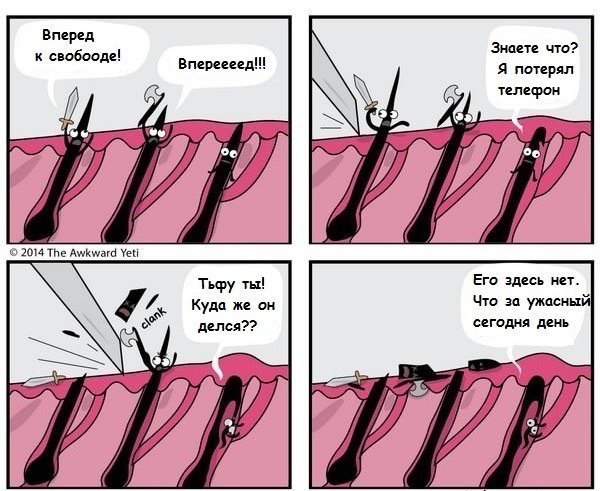 Юмор не для всех
