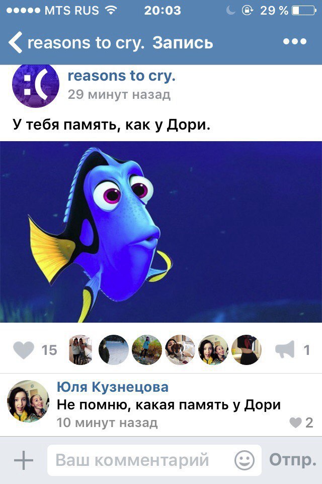 Ужасы и приколы из соцсетей 18+