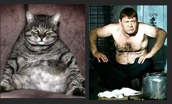 Один в один! 17 людей, животных и вещей, которые невероятно похожи друг на друга.