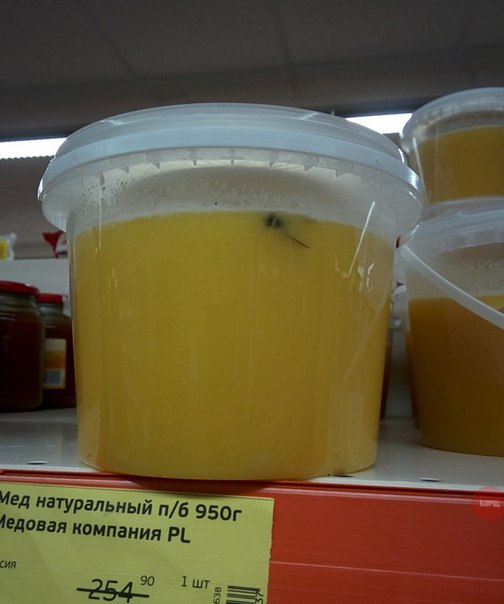 Подборка безудержного веселья