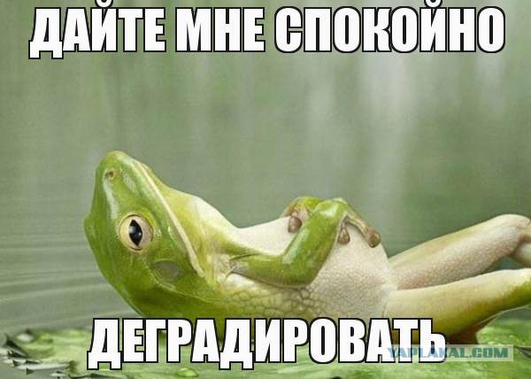Деграклассники - 5