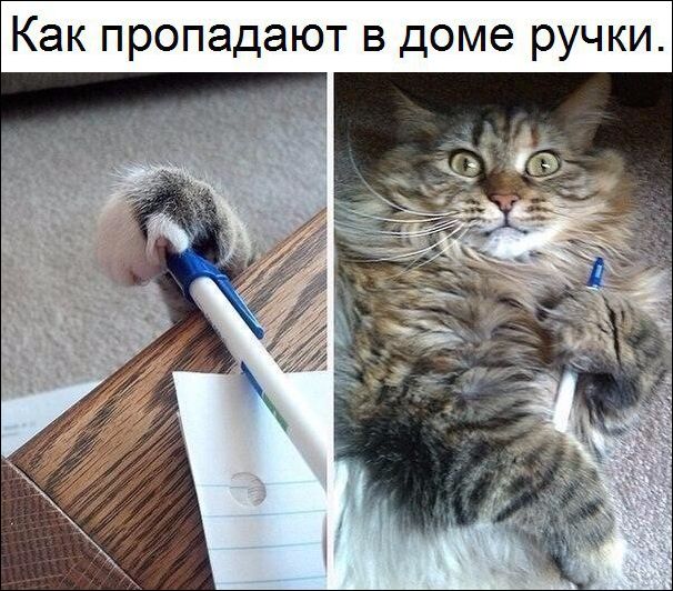 Подборка интересных и веселых картинок