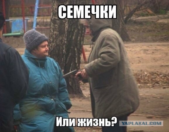 150 картинок для поднятия настроения!