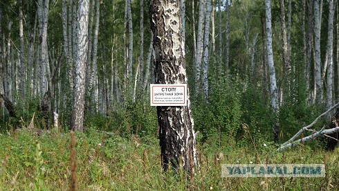 Знакомьтесь: автор «рутениевой паники»
