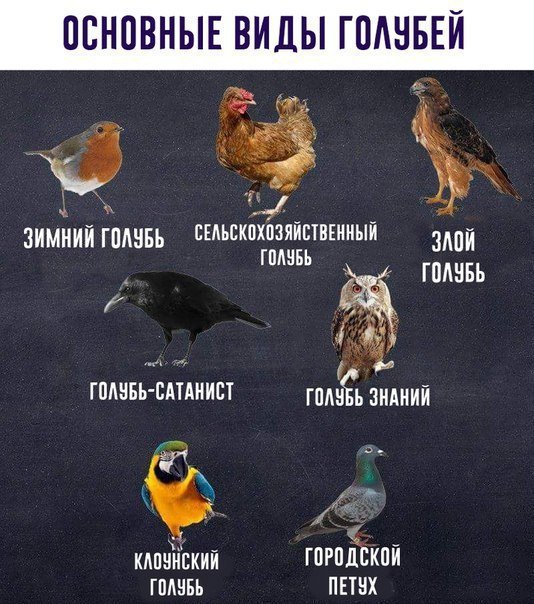 Нестандартный юмор