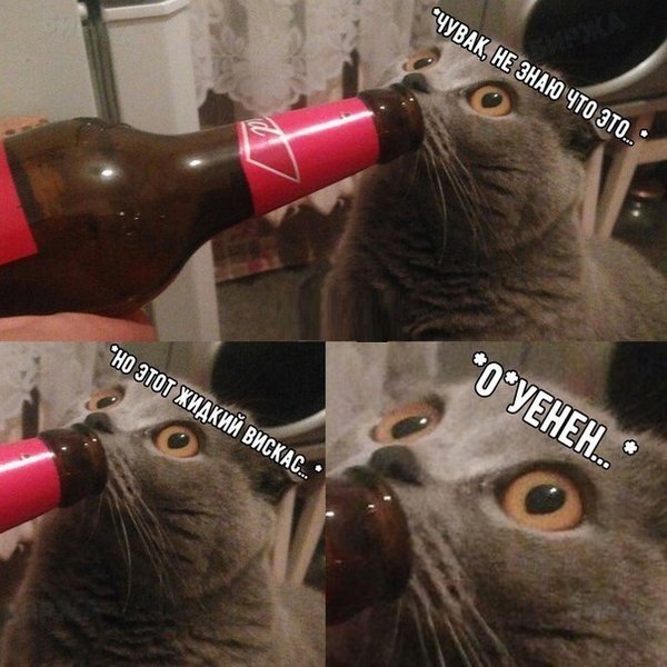 На зарядку позитивом становись!
