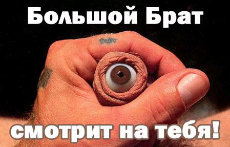 Итоги проверки пользователей