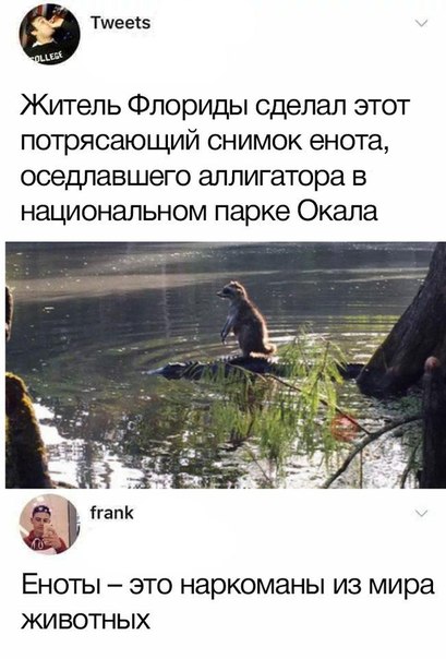 25 пятничных картинок