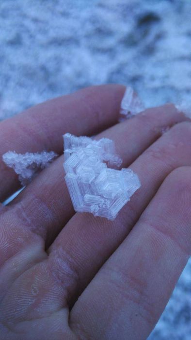 Подборка интересных и веселых картинок