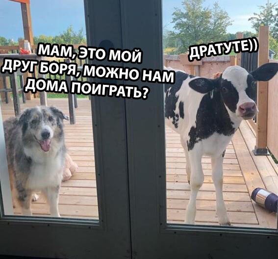 Немного картинок на вечер