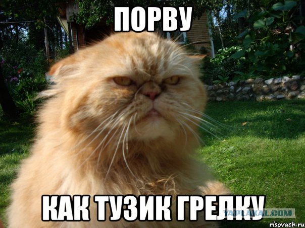 ЯП на Премии Рунета 2018!