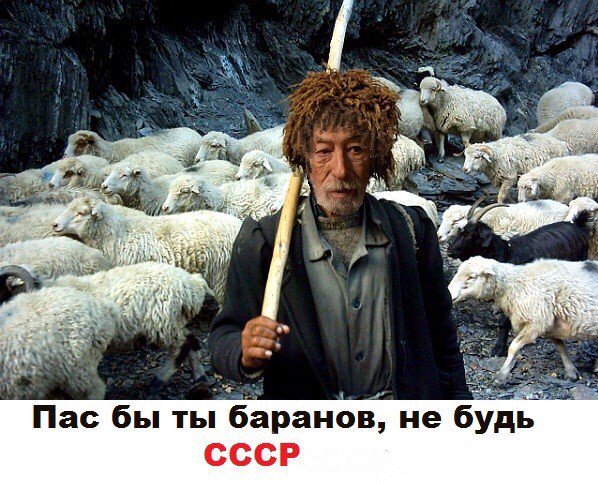 Кикабидзе приехал в Россию за деньгами