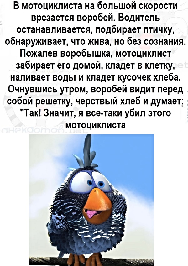 Чудовищный кадр: Какой-то чёрт на девятке сбил Алладина