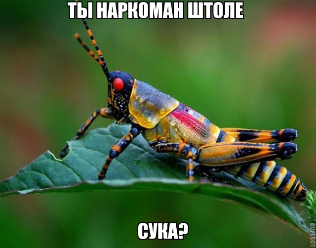 Фотографии, доказывающие, что природа в сто раз круче фотошопа
