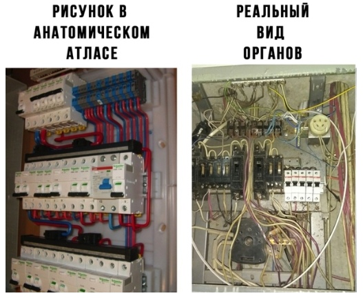 Разные и без темы