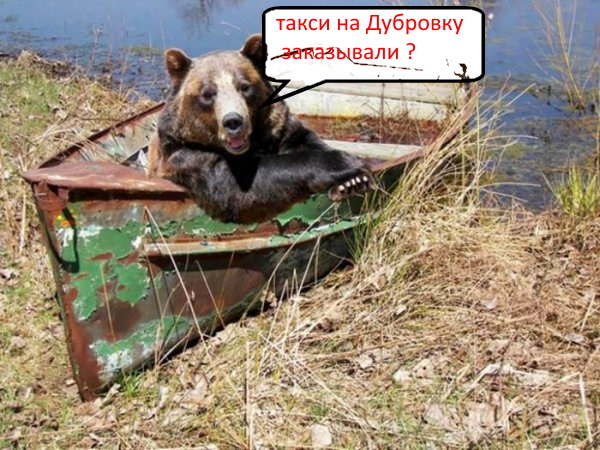 Прикольные и просто красивые картинки 20.11.2019