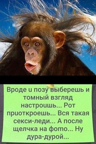 Нищебродки, не для вас мои ягодки росли!
