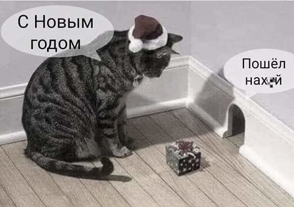 В.В. Путин. Новогоднее поздравление 01.01.2020