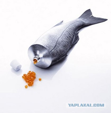 4 вопиющих факта о подделке продуктов