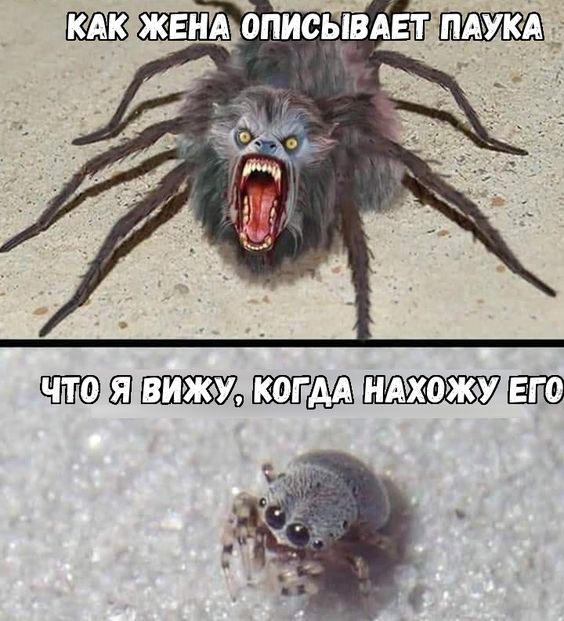 Даёшь картинкой по воскресенью 0202.2020