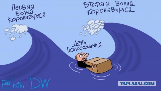 В Пензе депутата и активиста задержали за расклейку листовок против поправок в Конституцию