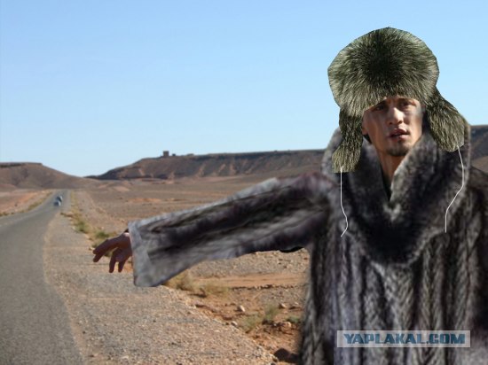 Фотожаба: Поможем Билану доехать