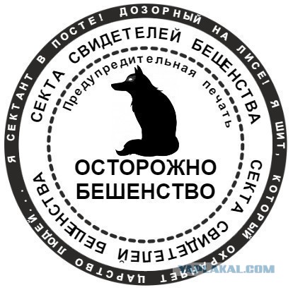 Лиса выпросила сосиску у жителя Мурманска