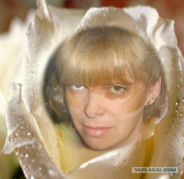 Не жабить!