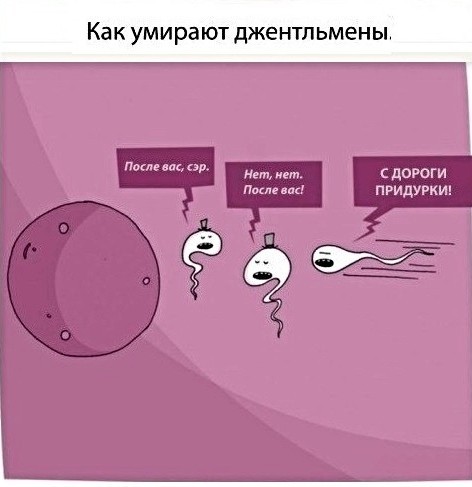 Боянистые картинки 07.12.20