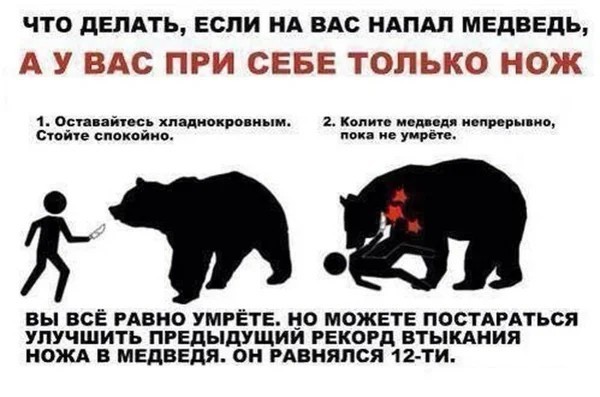 Супруги 2 суток провели на дереве, спасаясь от медведя на Камчатке