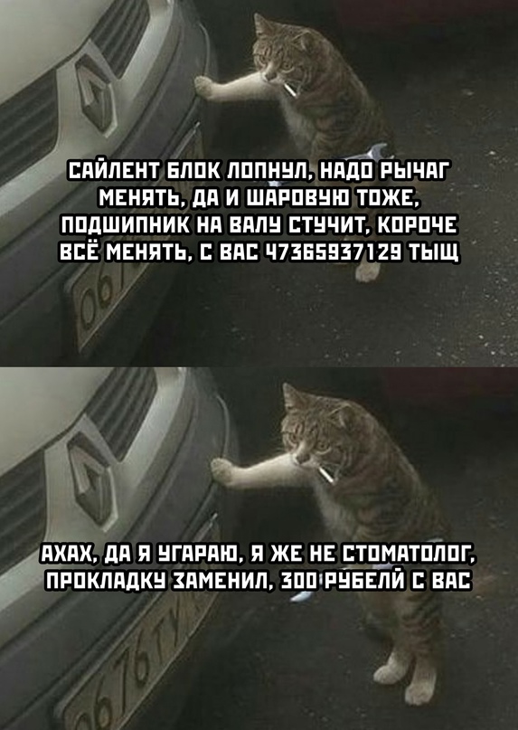 Картинки и мемы для настроения 26.10.2021
