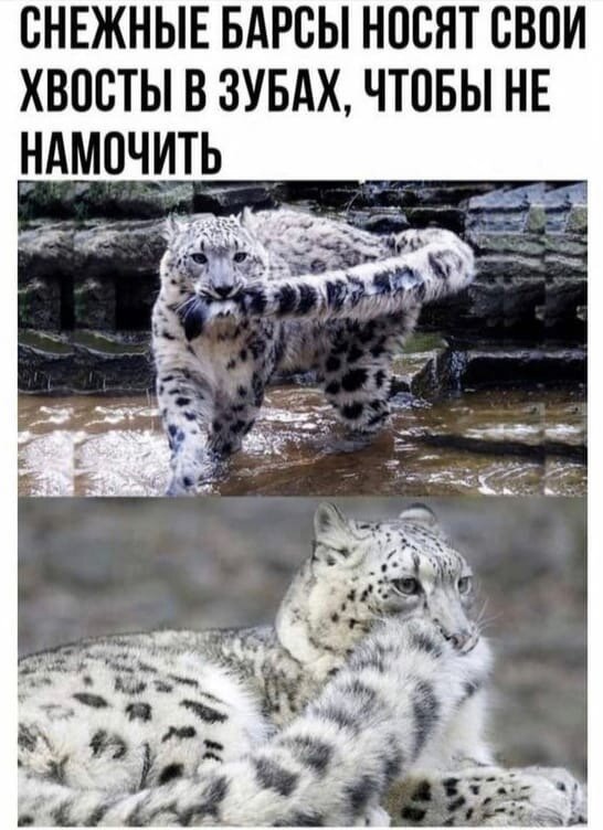 Так себе картинки 22.11.21