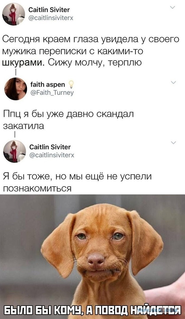 Весёлый полтишок 26.11