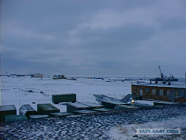 Жизнь на Новой земле.