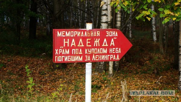 Музей-заповедник "Прорыв блокады Ленинграда"