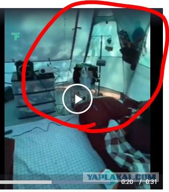 Отдых на природе всей семьей