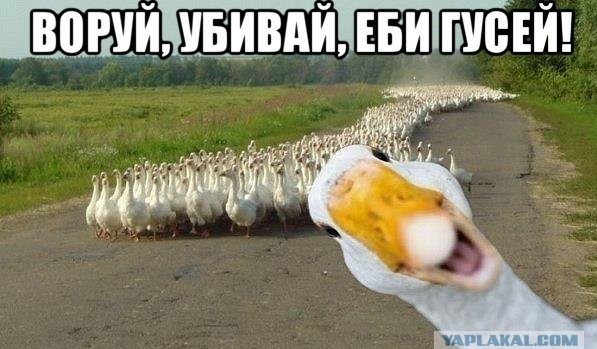 Мародёры