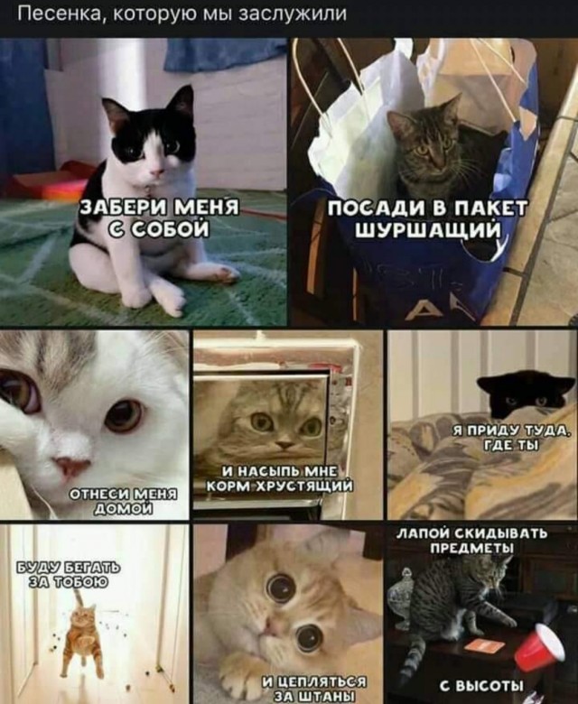 Так себе картинки 12.05.22