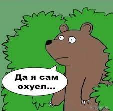 Пенсионер из Приангарья отбился от медведя грибным ножом