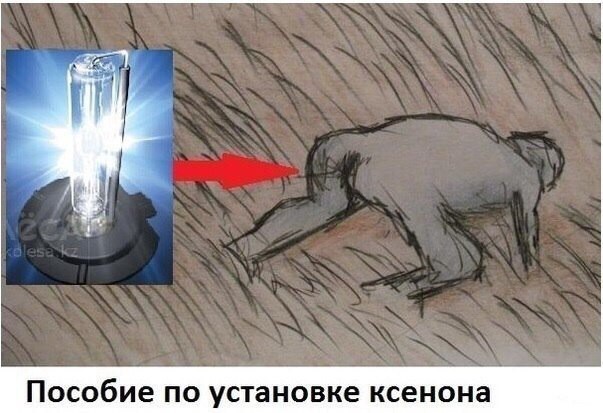 Вместо хороших японских иномарок во Владивосток приплыло измятое нечто: судно Safe, которое их перевозило, попало в шторм