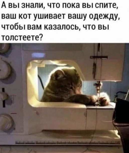 Картинки и мемы, всем хороших выходных