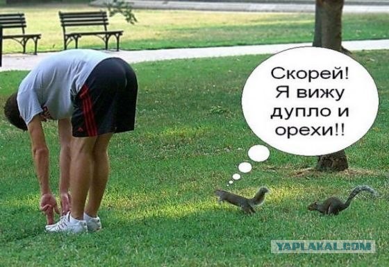 Атака на карман
