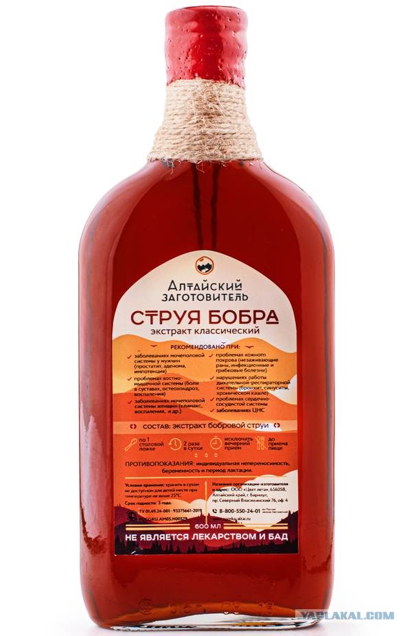 А много ли на ЯПе любителей грызунов?