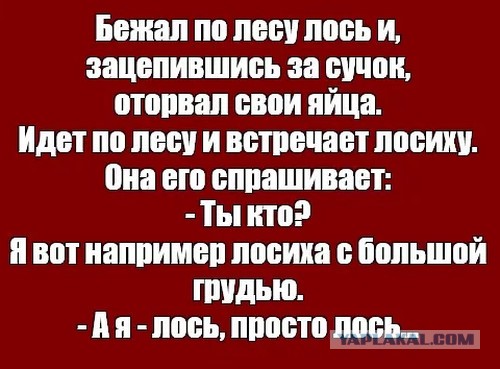 Покормите!.. Ну что, вам жалко что-ли?!