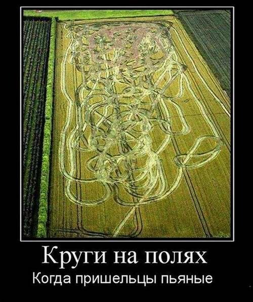 Немного картинок 07.05.23