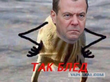 Дмитрий Анатольевич на страже человечества