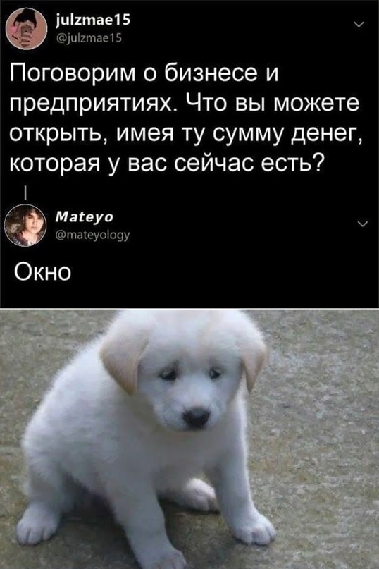 Весёлый полтишок 29.08.23