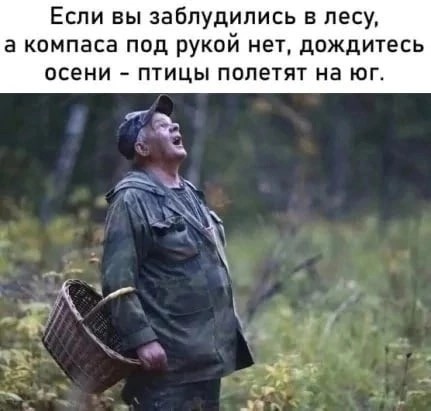Весёлый полтишок 15.09.23