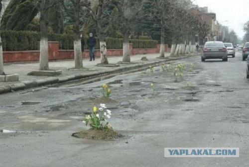 Борьба за свои права