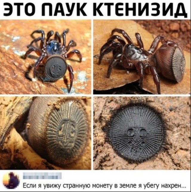 Так себе картинки 28.10.24